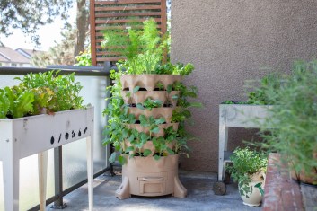 Creative Container Gardening Ideas for Apartment Balconies
